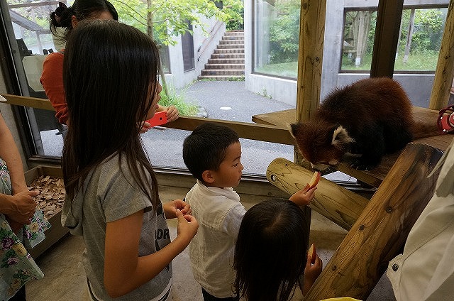 2015-7-8-013願い.jpg