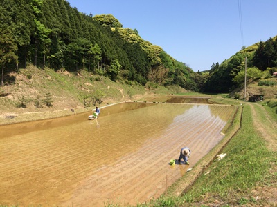 20150503さる１.JPG