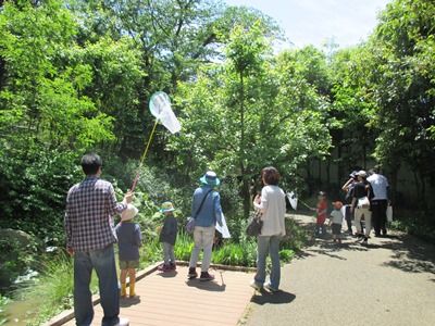 20150525里山２.JPG