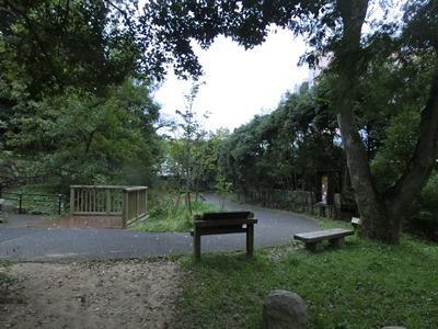 20171117sato3.jpg