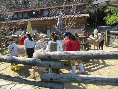2026.03.20 ロバ (10).jpg