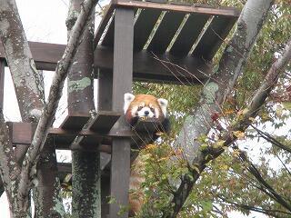 IMG_0503.jpg