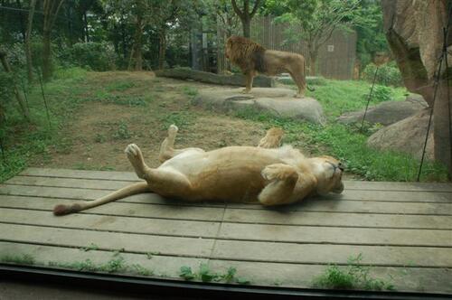 まさか３