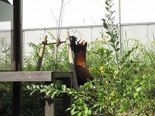 IMG_0531.jpg