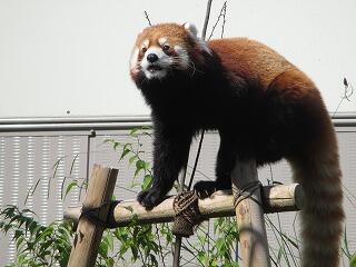 IMG_0532.jpg