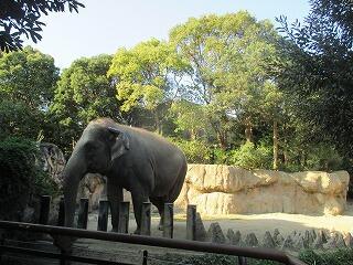 IMG_0552.jpg