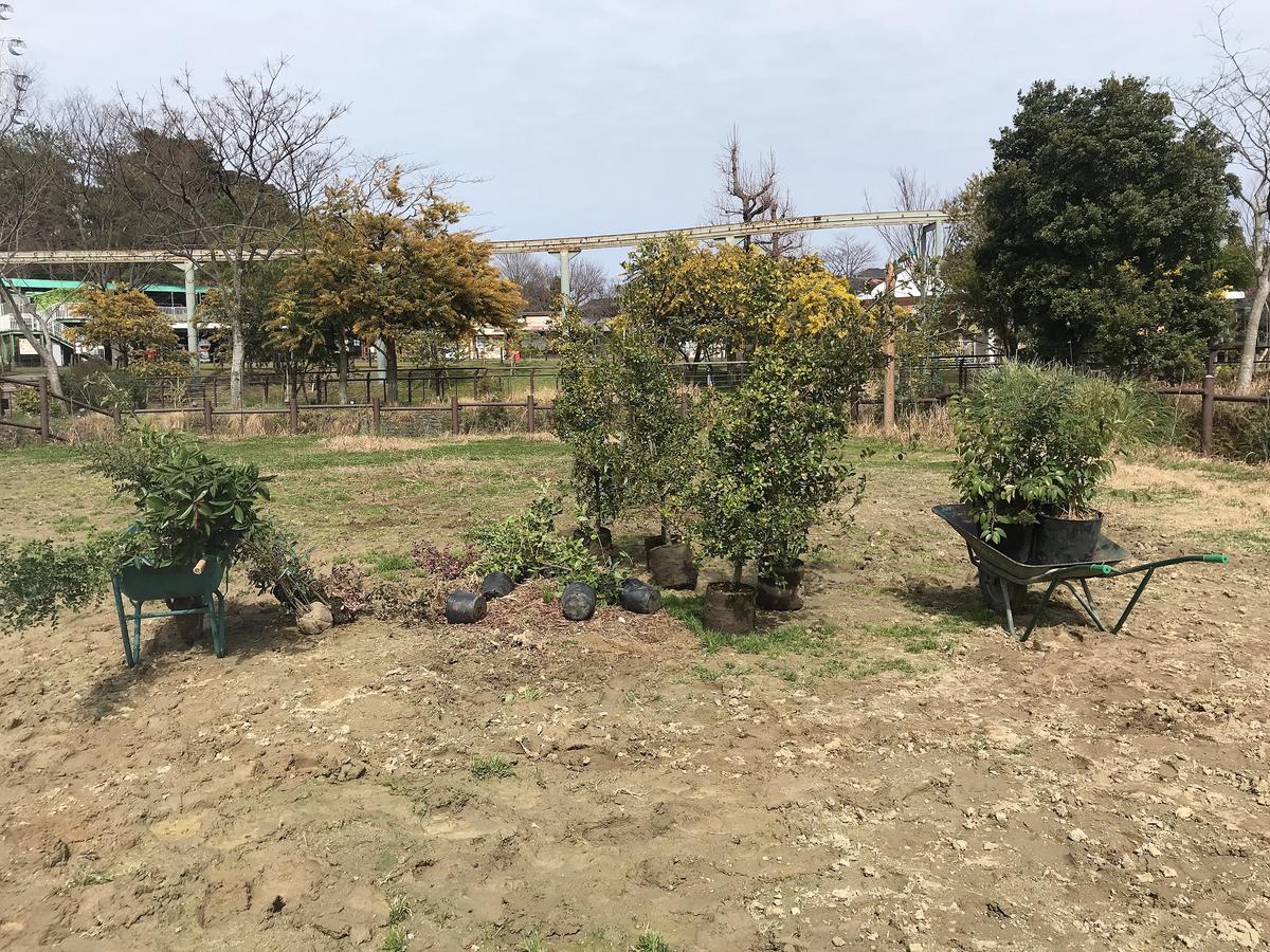 キリンの運動場に植樹を行いました(^^)|動物たちのおはなし キリンの運動場に植樹を行いました(^^)|動物たちのおはなし