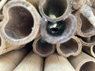 IMG_2510.jpeg