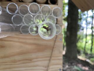 IMG_2511.jpeg