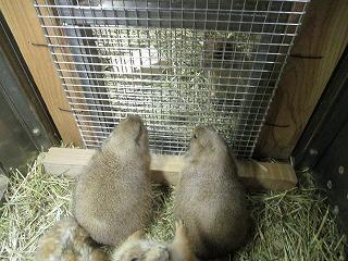 20210908榊②