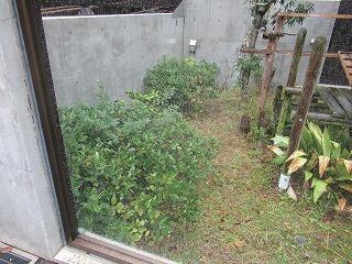 IMG_3893.jpg