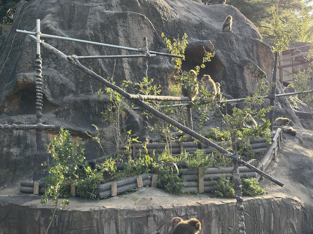 https://www.itozu-zoo.jp/blogs/animal/images/IMG_4935.jpeg