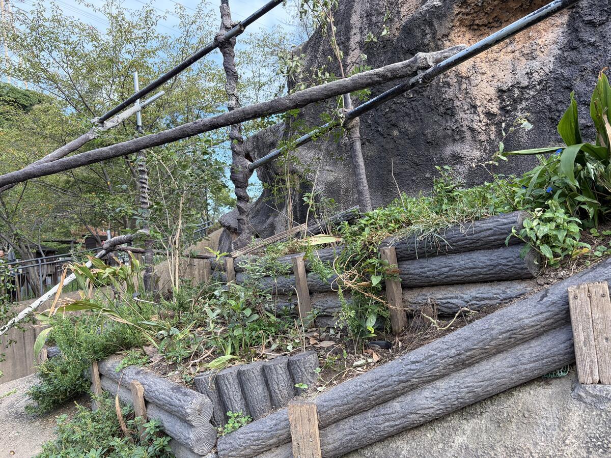 https://www.itozu-zoo.jp/blogs/animal/images/IMG_4937.jpeg