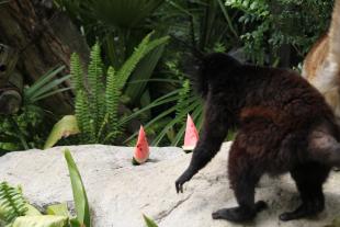 IMG_6765.jpeg