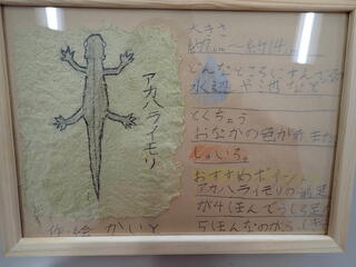 完成かいと.jpg