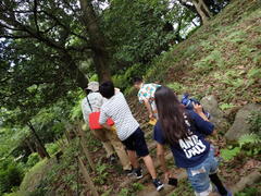 里山歩き.jpg