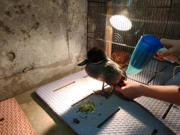 https://www.itozu-zoo.jp/blogs/animal/images/P_20250130_174255.jpg