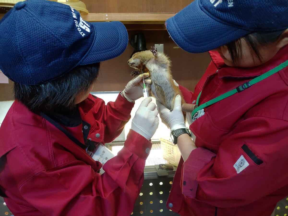 https://www.itozu-zoo.jp/blogs/animal/images/P_20260324_110749.jpg
