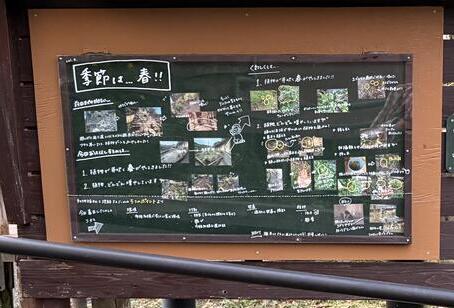Vol.4全体.jpg