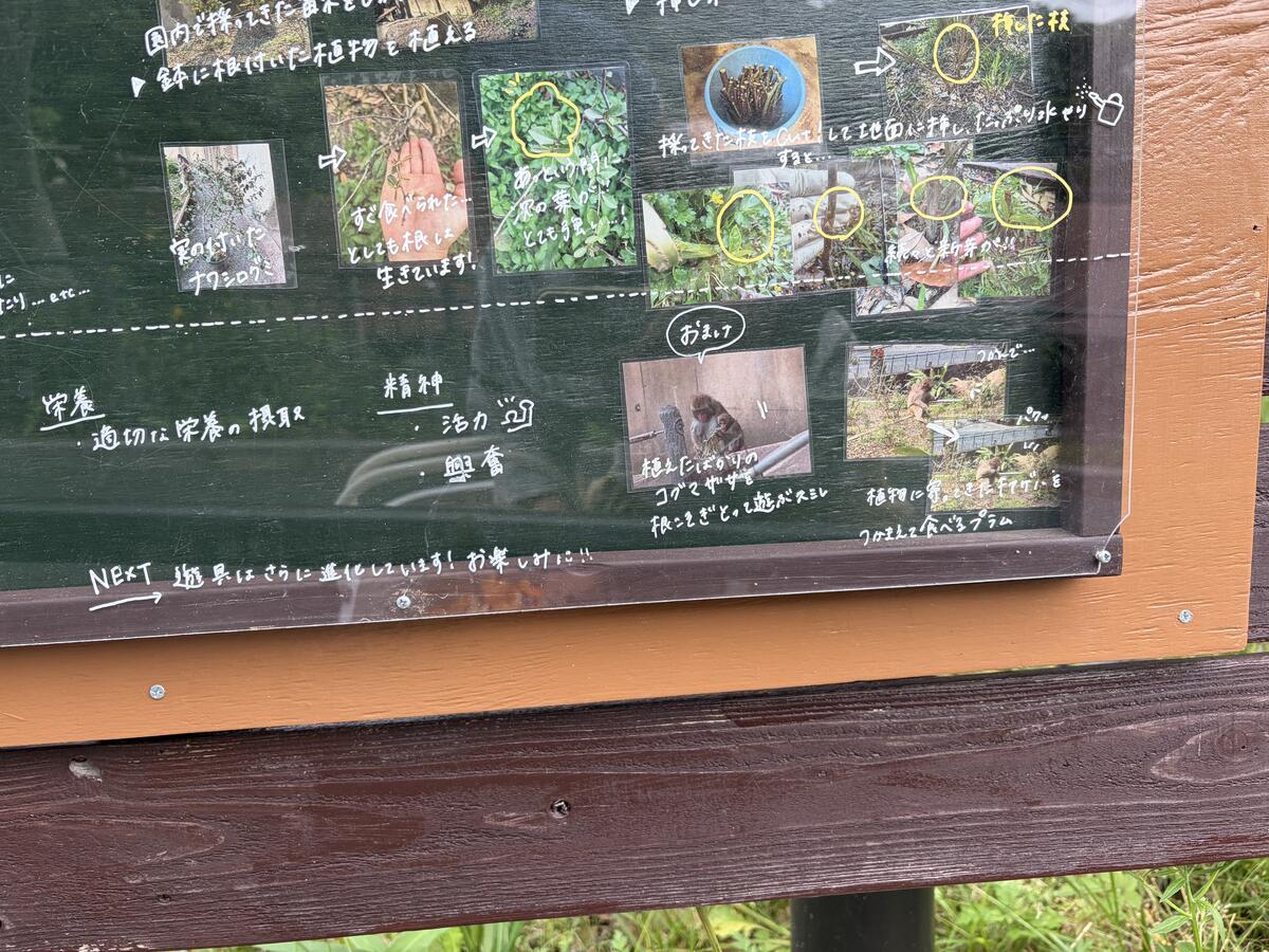 https://www.itozu-zoo.jp/blogs/animal/images/Vol.4%E5%8F%B3%E4%B8%8B.jpg