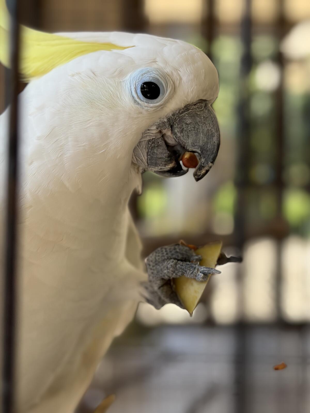 https://www.itozu-zoo.jp/blogs/animal/images/bda6baf63aa52c4aea3540ba46c7dadc26b9341a.jpeg