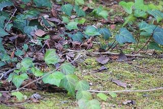 IMG_7671.jpg