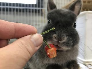 20210430--03さく