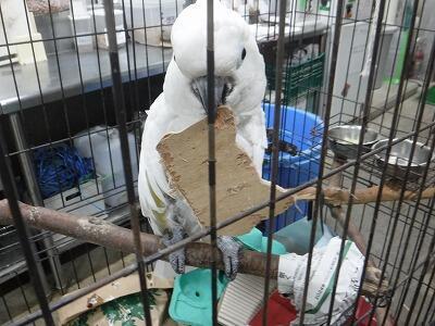 OUMU-2024.6.2-17.jpg