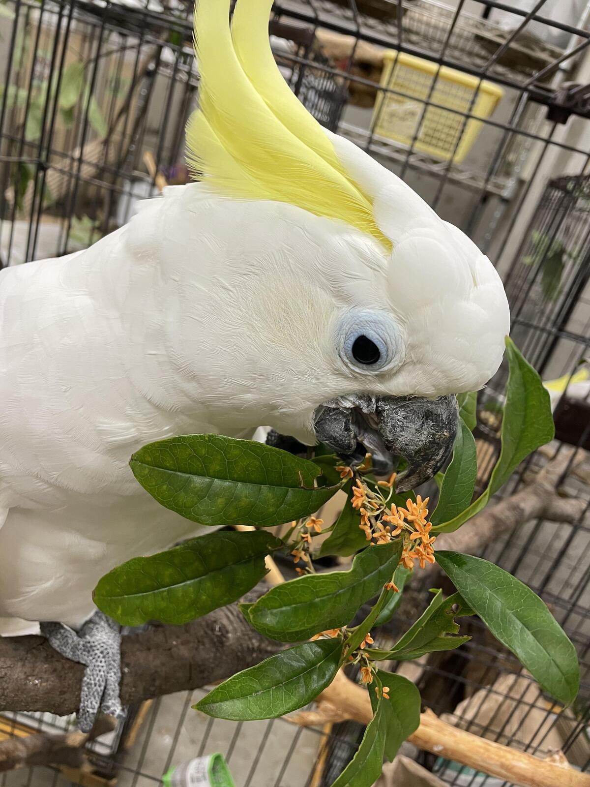 https://www.itozu-zoo.jp/blogs/animal/images/dffd2ae7e01499ecb3f411aa605425630c63d8b9.jpeg