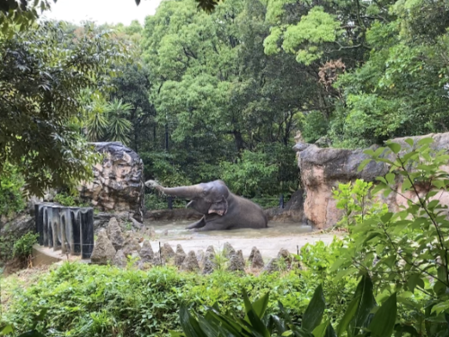 image-20260830-130652009.png