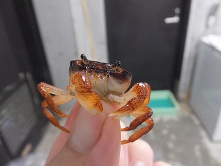 s-2013625-007.jpg