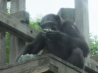 s-201375-012.jpg