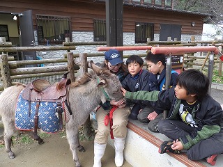 s-20160421-0４ミカン.jpg