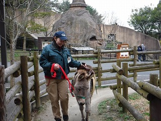 s-20160421-02ミカン.jpg