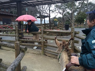 s-20160421-03ミカン.jpg