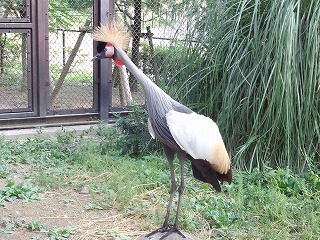 s-DSC_0061.jpg