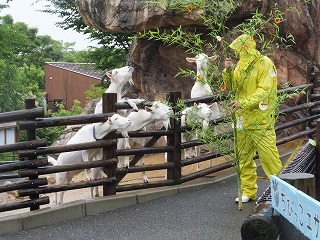 tanabata20140708-6tounyuu.jpg