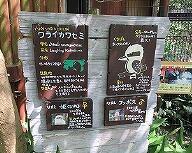 みんなで看板作りを行いました!｜動物たちのおはなし｜公園だより｜到