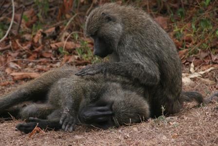 tanzania_01_002.JPG