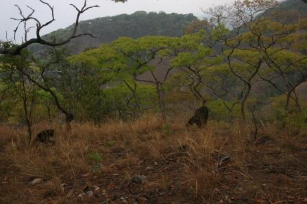 tanzania_01_006.JPG