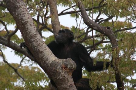 tanzania_01_007.JPG