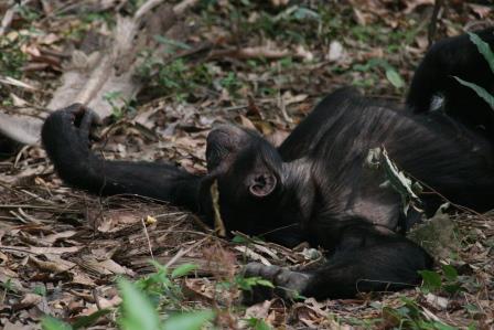 tanzania_01_012.JPG