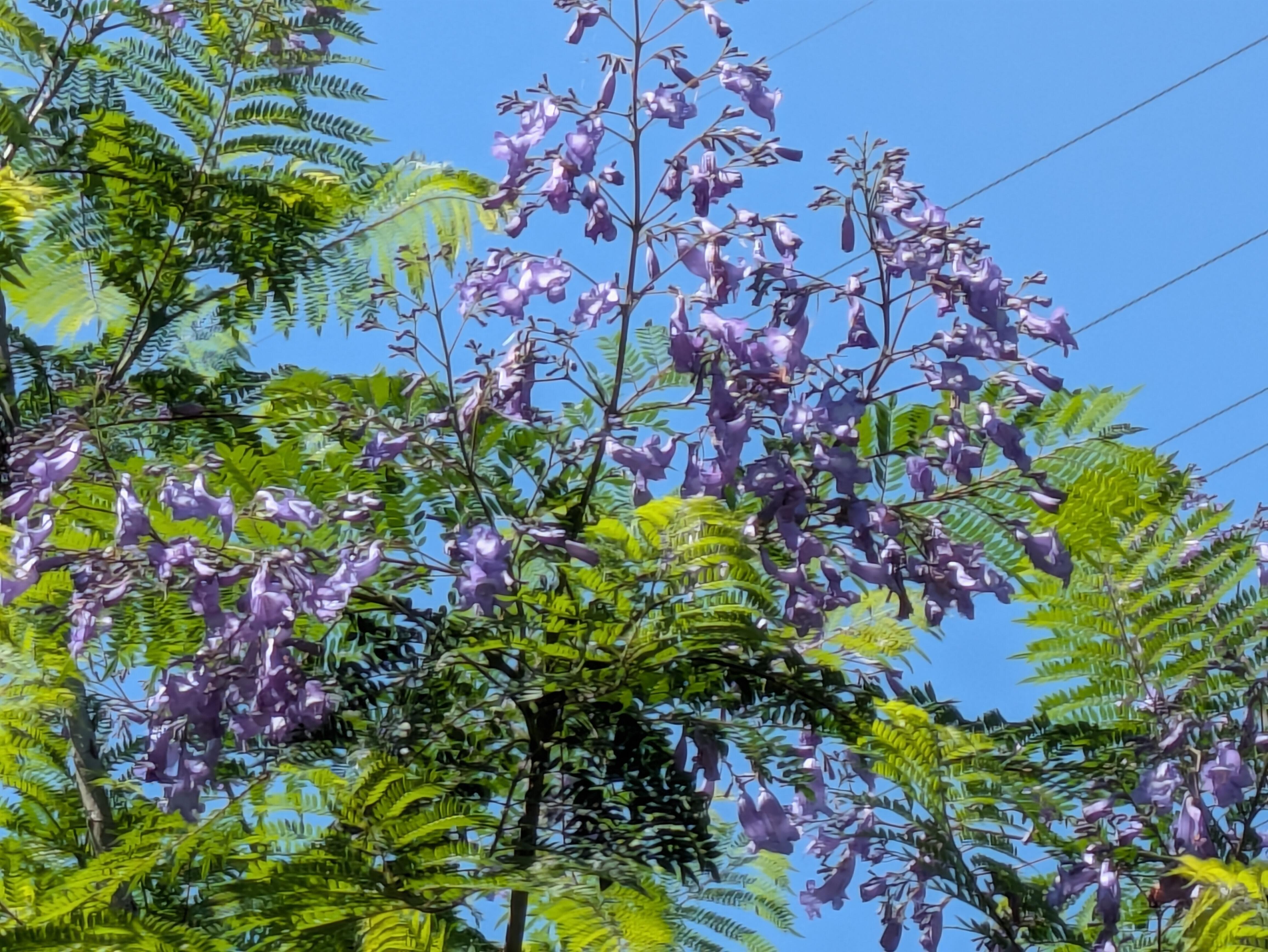 PXL_20260610_012325752.jpg