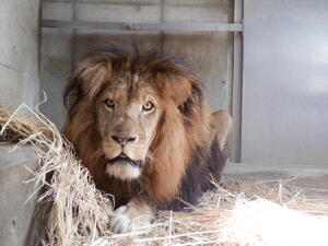 DSCF5754.jpg