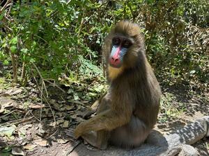 IMG_4179.jpg