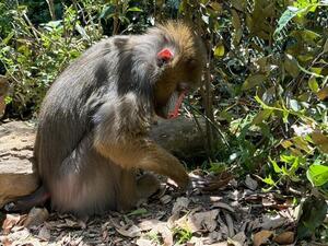 IMG_4185.jpg