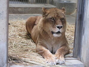 IMG_4616.jpg
