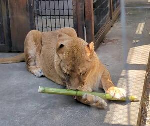 4日ライ１.jpg