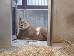 DSCF7160.jpg
