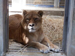 DSCF7179.jpg